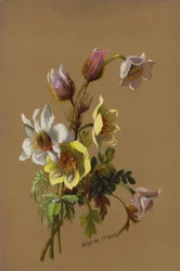 Rayo de sol y gota de rocío